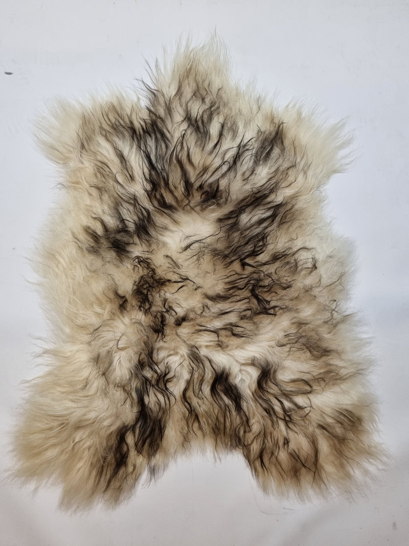 120 Schapenvacht Uniek Nr.120 Multi-Color M / 100cm - Afbeelding 1