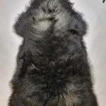 Schapenvacht Uniek Nr.174 Multi-Color XXL / 125cm