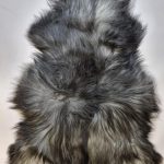 Schapenvacht Uniek Nr.178 Multi-Color XXL / 125cm