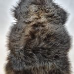 Schapenvacht Uniek Nr.205 Multi-Color XXL / 125cm