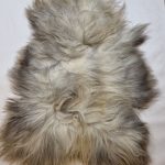 Schapenvacht Uniek Nr.206 Multi-Color XXL / 125cm