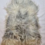 Schapenvacht Uniek Nr.213 Multi-Color XXL / 125cm