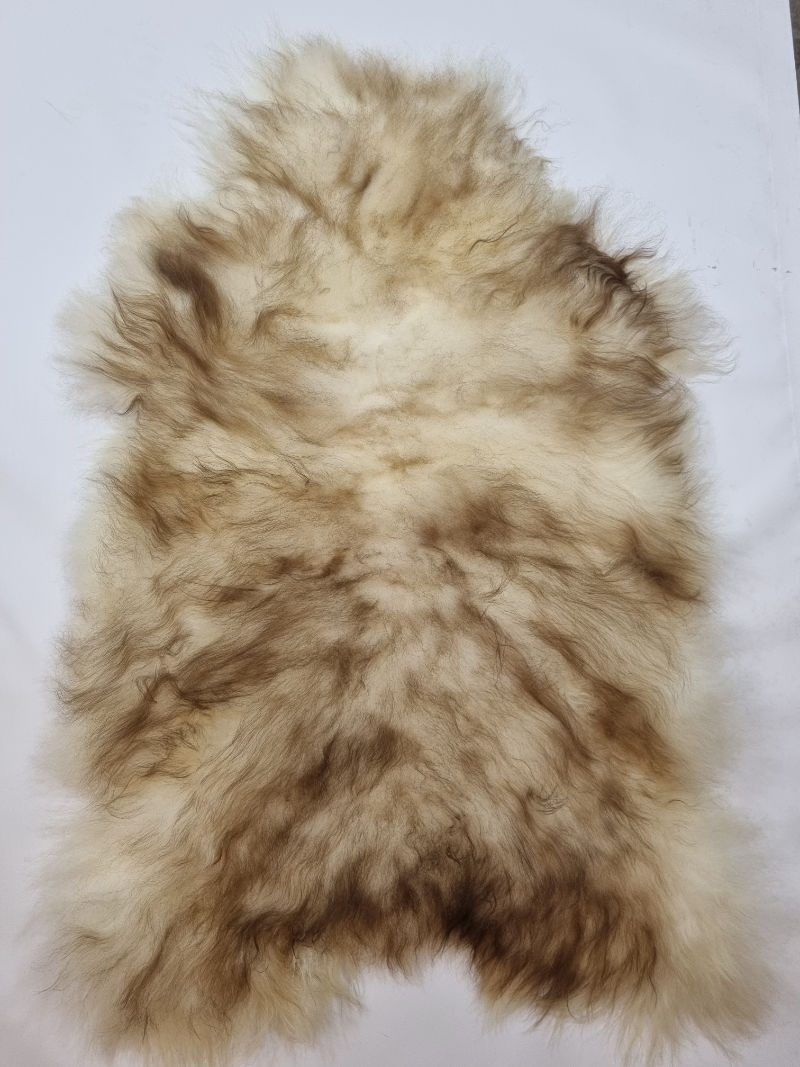 220 Schapenvacht Uniek Nr.220 Multi-Color L / 105cm - Afbeelding 1