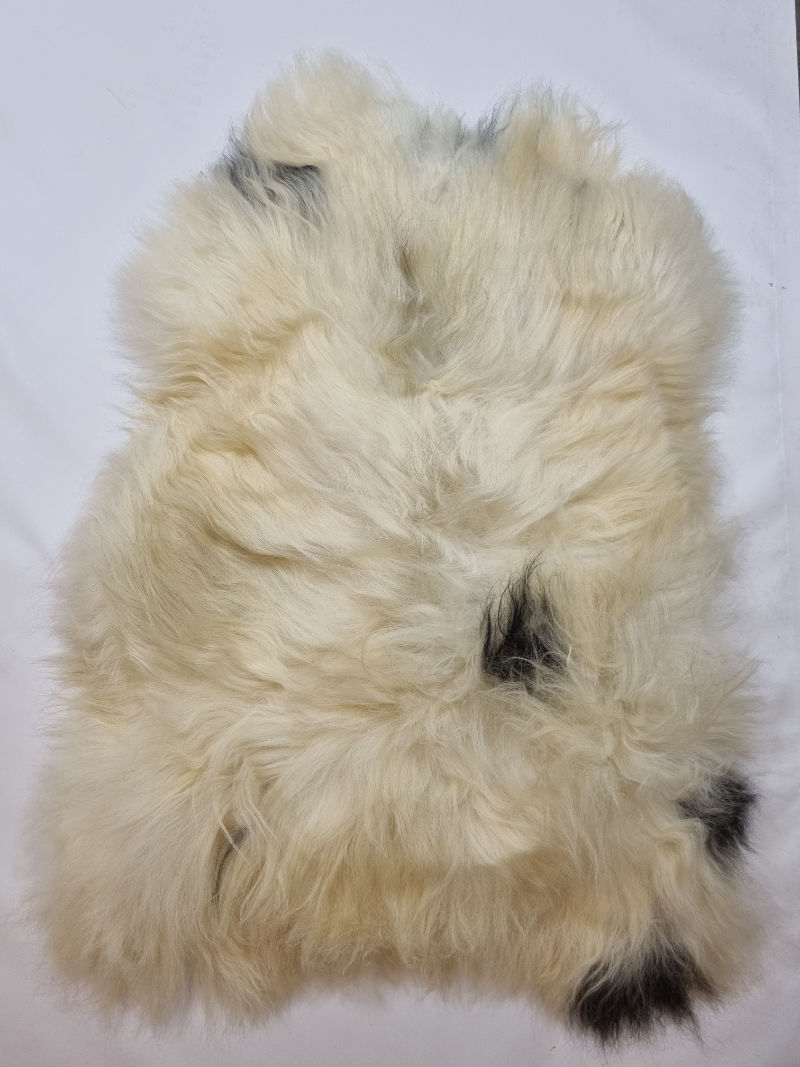 231 Schapenvacht Uniek Nr.231 Multi-Color XL / 115cm - Afbeelding 1